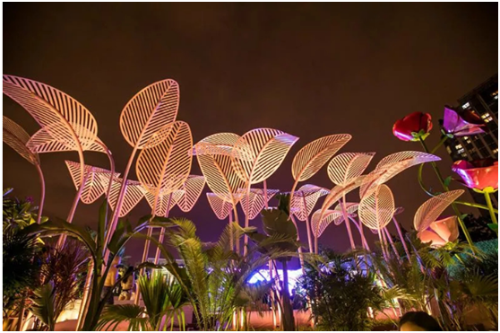 無(wú)氯游泳池系統(tǒng)，無(wú)氯游泳池，露天無(wú)氯游泳池