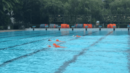 戴思樂游泳館,戴思樂泳池，游泳館運(yùn)營管理