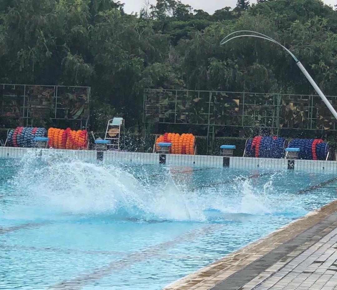 戴思樂游泳館,戴思樂泳池，游泳館運(yùn)營管理