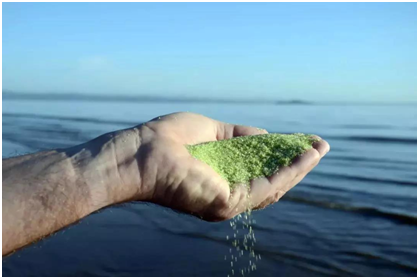 別墅泳池，別墅泳池設(shè)備，別墅泳池設(shè)備有哪些類型？