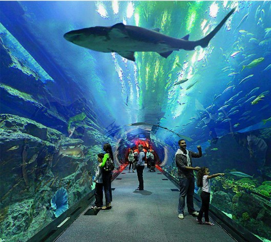 <b>海洋館水質(zhì)如何處理？水處理系統(tǒng)是關(guān)鍵！</b>