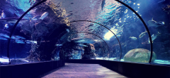 海洋館維生系統(tǒng)是什么？其作用是?