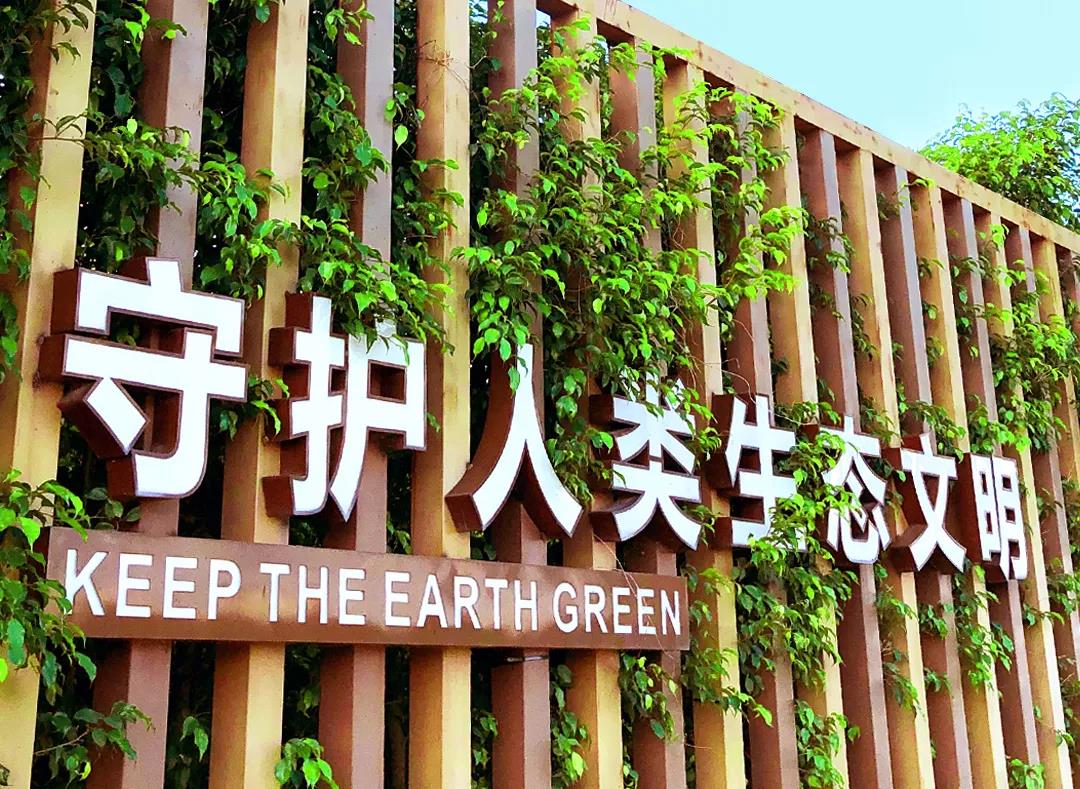 戴思樂董事長專訪，戴思樂水處理技術，戴思樂泳池設備