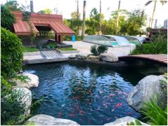 中水處理和污水處理有什么區(qū)別？