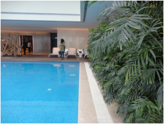 別墅建泳池或魚池，別糾結(jié)了，先來(lái)看看兩者的區(qū)別再?zèng)Q定！