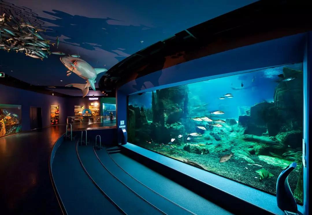 海洋館水質(zhì)處理公司哪家好？