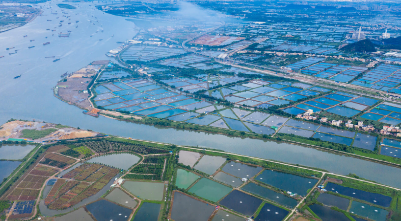 打造綠色魚(yú)塘，實(shí)現(xiàn)尾水治理與生態(tài)共贏？