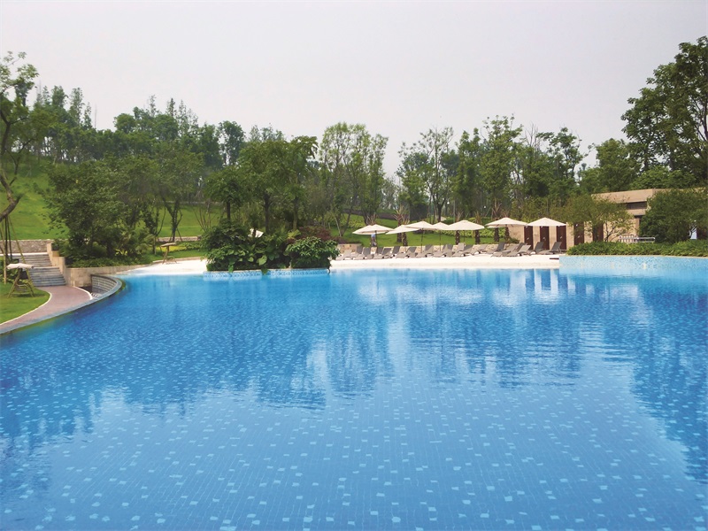 游泳池水泵哪家好？戴思樂(lè)1480水泵，為您保駕護(hù)航！