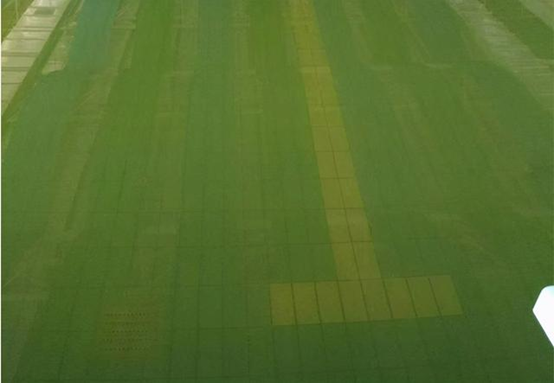 為什么游泳池的水會(huì)經(jīng)常變綠？處理方法有哪些？