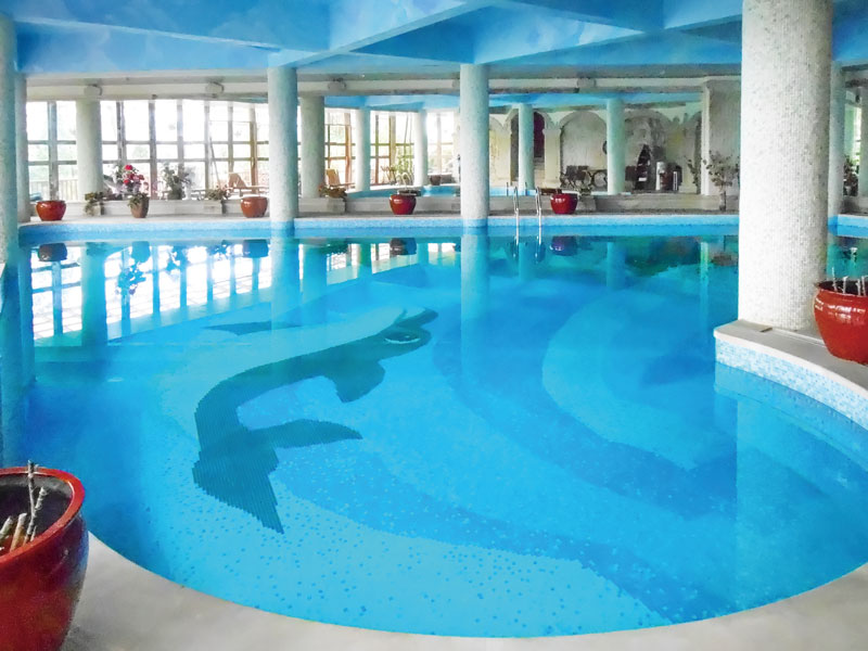 游泳池水變綠又渾濁是什么原因？一文看懂解決思路