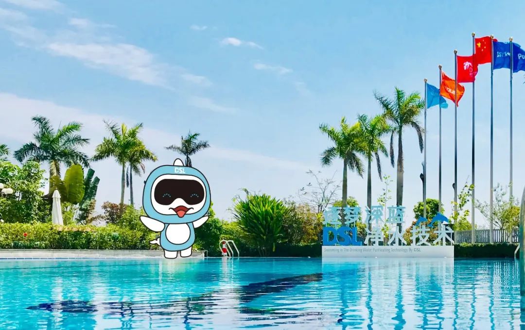 別墅游泳池設(shè)備,別墅游泳池水處理設(shè)備,別墅游泳池